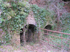
Penhow, Limekiln to the West of the quarry, ST 4220 9113, March 2010